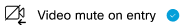 Video mute is enabled